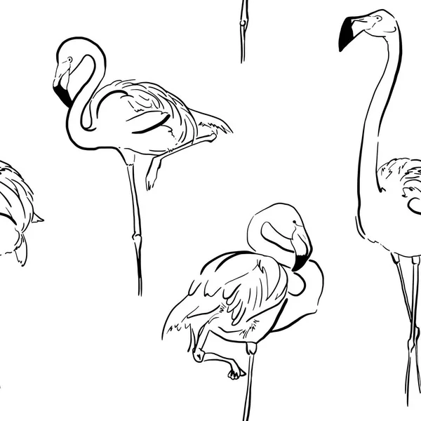 Padrão sem costura Flamingo tropical desenhado à mão — Fotografia de Stock