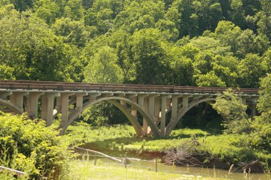 Yeşil çimenler ve ağaçlarla çevrili su üzerinde köprü