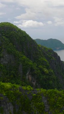 Miniloc adasının üzerinde uçuyor. El Nido, Palawan. Filipinler. Dikey görünüm.