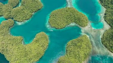 Yağmur ormanı tepeleri ve gölde bulutlu gök mavisi suyu olan bir ada. Sohoton Koyu. Bucas Grande Adası. Mindanao, Filipinler.