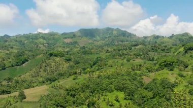Yeşil ormanları olan tropikal dağlar ve tarım arazisi olan çiftlik çiftlikleri. Mindanao, Filipinler.