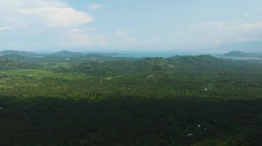 Yağmur ormanları, ağaçlar ve bulutlarla kaplı mavi gökyüzünün havadan görünüşü. Mindanao, Filipinler.