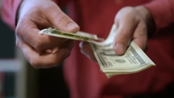 Człowiek, liczenie banknotów dolarowych. Zbliżenie na męskie ręce liczyć kasę — Wideo stockowe