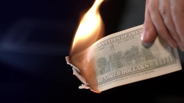 Male hand burning dollar banknote. Man burning money cash. Financial crisis — Stock Video