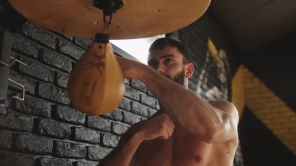 Mann schlägt in Turnhalle auf Speedbag ein Moderner Boxsack für Boxer im Fitnessstudio — Stockvideo