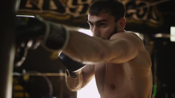 Боксер бьет боксерскую грушу в спортзале в боксерских перчатках. Спортсмен упорно трудится — стоковое видео
