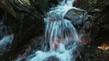 Soğuk kaynak suyu akışı parkta. Vahşi nehir akıyor. Doğal kaynakların kavramı