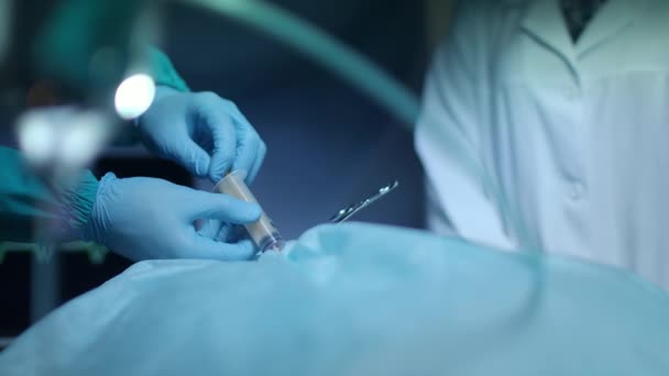 Surgeon hands pouring blood in syringe at surgical procedure. Medical operation — Stock Video