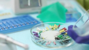 Cam petri kabına Endodontik aletler. Dişçi eli Endodontik dosyayı seçerek kapatın. Ekipman tedavisi diş kanallar için. Stomatolog el tıbbi cımbız tutan steril eldiven