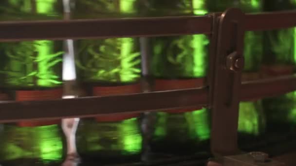 Botellas de cerveza en la línea de producción automatizada en la fábrica de cerveza — Vídeos de Stock