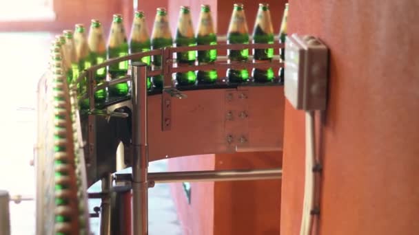 Garrafas verdes na correia transportadora. Máquina de engarrafamento de cerveja trabalhando na fábrica de cervejaria — Vídeo de Stock