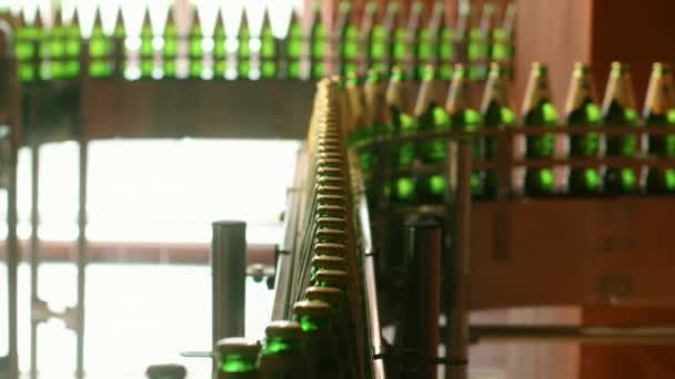 Botellas de cerveza en línea de fabricación de fábrica. Cinta transportadora de la industria de bebidas — Vídeos de Stock