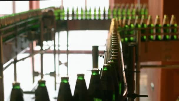 Beer bottles at production line at brewery factory. Bottles on conveyor belt — Stock Video