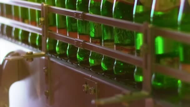 Beer bottles on production line. Bottles moving on conveyor line at factory — Stock Video