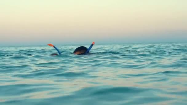 Enfants en tuba plongeant en mer. Petits enfants plongeant sous l'eau — Video