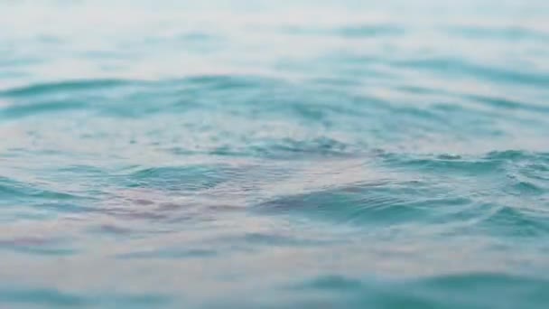 Meisje uiten van positieve emoties van zwemmen en duiken in de zee — Stockvideo