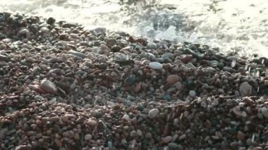 Küçük kaplumbağa okyanus su yürüme. Bebek kaplumbağa sahilde denize tarama