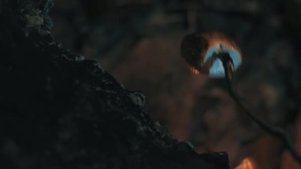 Nourriture cuite sur les flammes de Chimera. Cuisine touristique nourriture en feu dans la grotte — Video