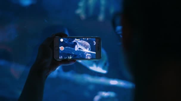 Turista fazendo vídeo com peixes flutuando no aquário no smartphone — Vídeo de Stock