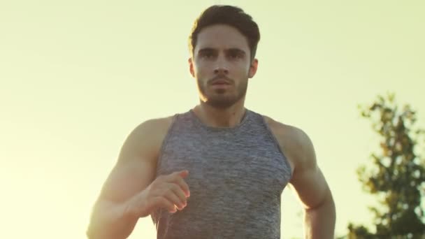 Sport man loopt bij zonsondergang. Loper man joggen in het park bij gouden zonsondergang — Stockvideo
