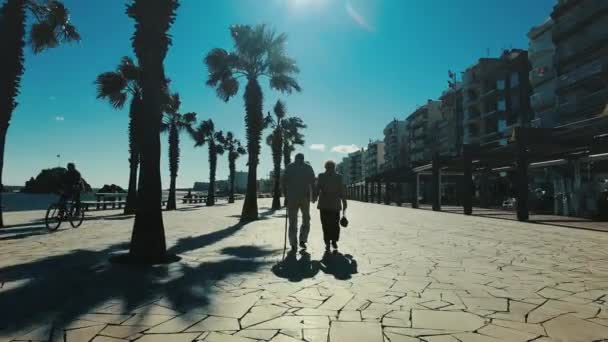 Bejaarde echtpaar wandelen op de Boulevard. Achteraanzicht senior paar — Stockvideo