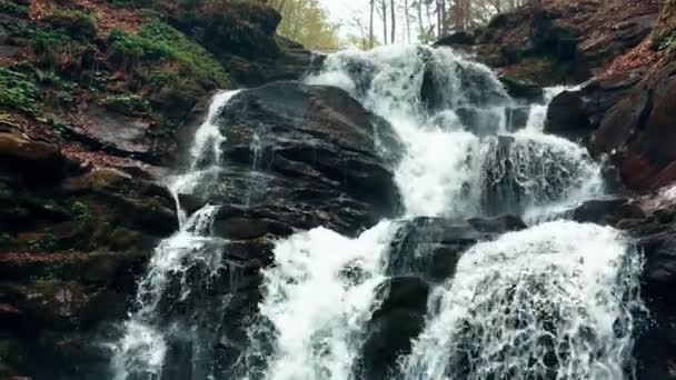 Cascade de montagne avec de l’eau cristalline dans la forêt. Eau à mouvement lent — Video