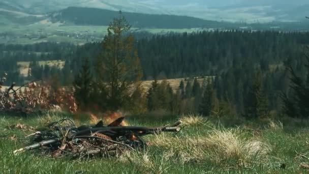 Zeltkamin mit brennendem Holzstapel. Touristisches Lagerfeuer — Stockvideo