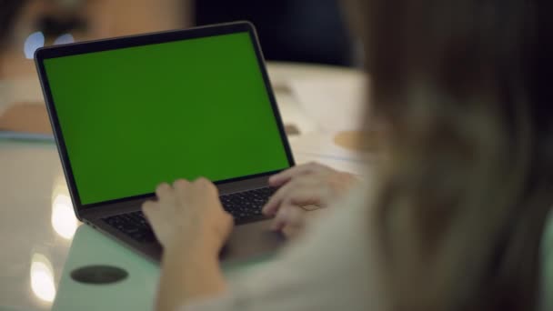 Mulher de negócios trabalhando no computador portátil com tela verde — Vídeo de Stock