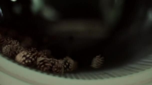 Kegels close-up in centrifuge voor het verkrijgen van zaden. Kegels in machine voor verwerking — Stockvideo