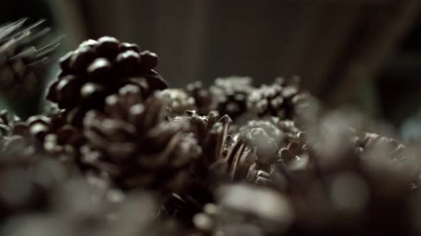 소나무 콘 클로즈업 은 자동화 된 추출 과정을 통과 한 후 더미에 빠진다 — 비디오
