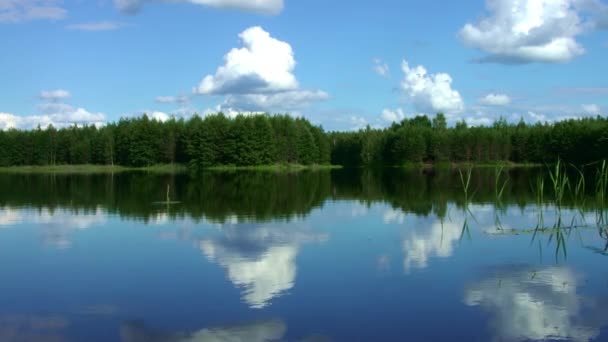 Nádherné lesní jezero se klidnou vodou v borovicovém lese. Nádherná krajina — Stock video