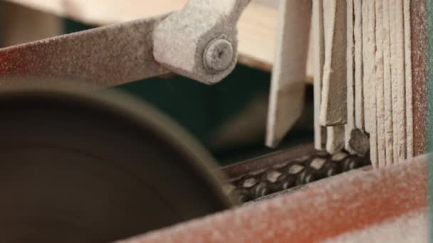 Крупный план электропилы, распиливающей деревянную доску на автоматической линии на лесопилке — стоковое видео
