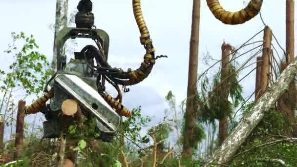 Logger con brazo robótico levantando y aserrando troncos en el bosque. Trabajo de camión de registro — Vídeos de Stock