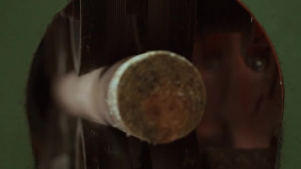 Rundholz Knüppel passieren Schleifstufe in Maschine. Holzbearbeitungsprozess — Stockvideo