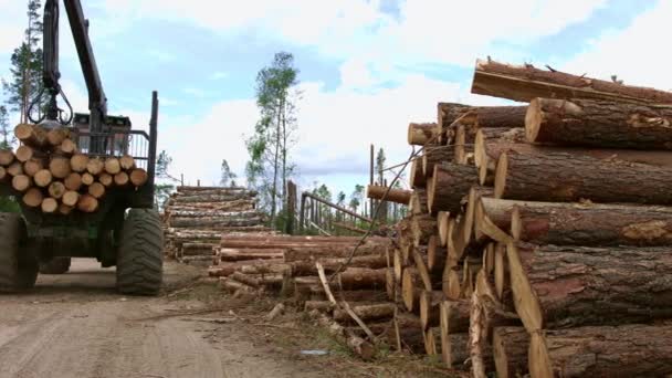 Schwerlastkran, der beladen wurde, schnitt Holzstämme. Holzverladung. Lader in Arbeit — Stockvideo