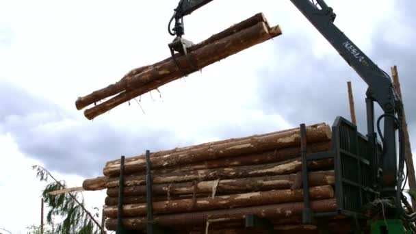 Zavaděč vyložuje dřevo. Speciální zařízení pro zvedání kulatiny z tělesa kamionu — Stock video