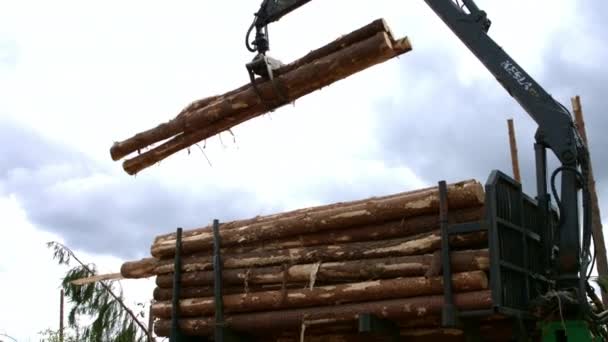 Lastaren lossningen timmer stockar. Specialutrustning för att lyfta stockar från Truck Body — Stockvideo