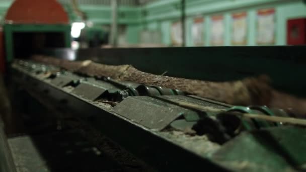 Scierie à ruban. Ligne de production automatisée pour scier les grumes. Ligne pour le travail du bois 