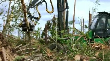 Orman keserken kulübede hasat şoförlüğü yapan bir işçi. Kereste odunu