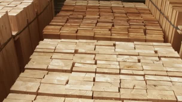 Wood boards stacked on shelves in lumber yard ready for sale. Wood raw materials — Stock Video