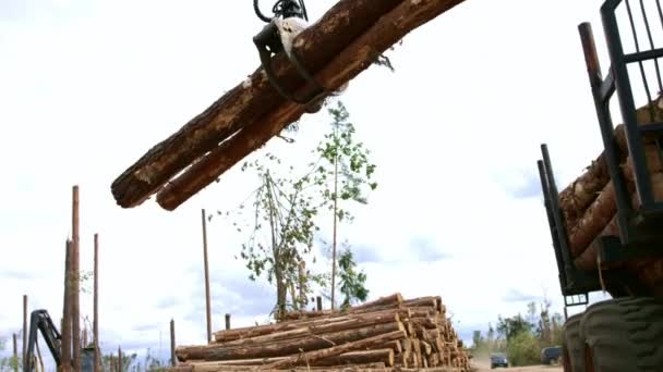 Logging truck is unloaded after arrival to saw mill. Wheel loader in action — Stock Video