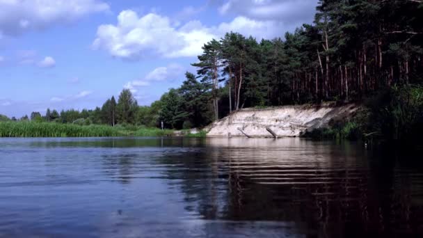 Beautiful landscape with pine forest growing on sandy cliff near lake — Stock Video