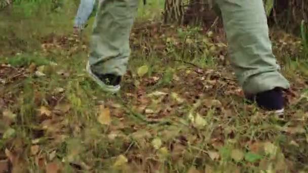 Gros plan des jambes des voyageurs marchant dans la forêt. Touristes en forêt — Video