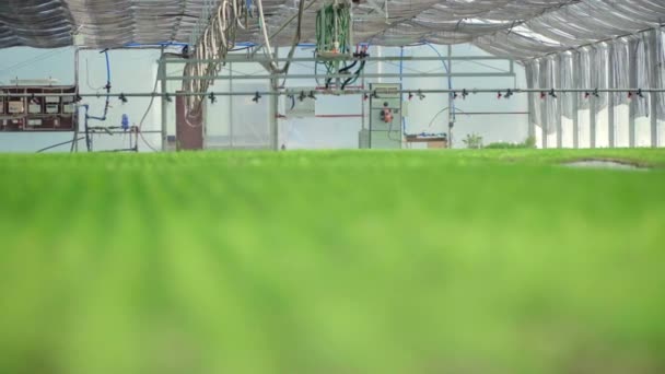 Drenken apparatuur is klaar voor het werk in de kas met beplante bedden — Stockvideo