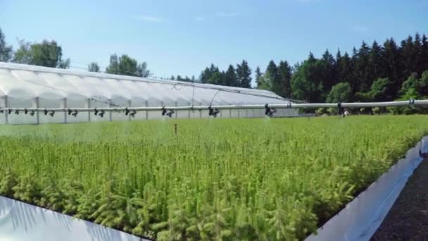 Ausrüstung für die Bewässerung von Plantagen. Automatische Bewässerung in der Agrarindustrie — Stockvideo