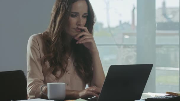 Επιχείρηση γυναίκα που δουλεύει σε φορητό υπολογιστή. Ευτυχισμένο άτομο συνομιλεί στο σημειωματάριο. — Αρχείο Βίντεο