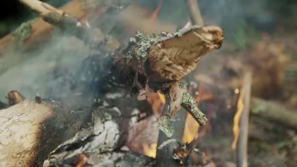 Trockene Feuerhölzer, die im Wald brennen. Naturkatastrophe im Holz. Glut in Flammen — Stockvideo