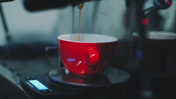Кофе наливают из кофеварки в чашку. Поток каффе Американо — стоковое видео