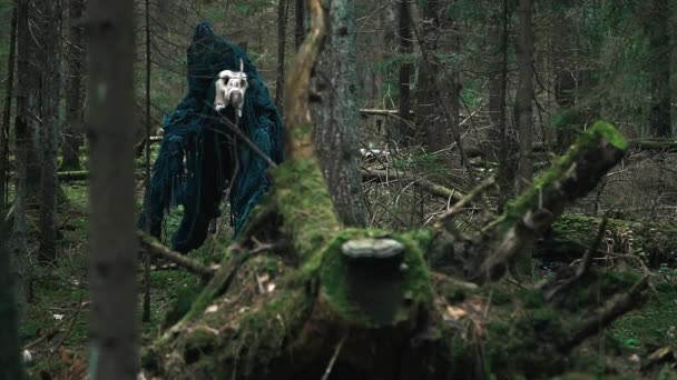 Horrible créature debout parmi les arbres dans la forêt. Terrible monstre — Video