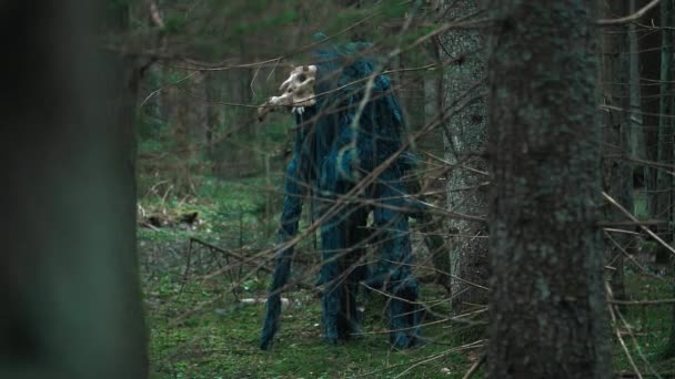 Mystiska monster med skalle av djur stående i tät skog — Stockvideo